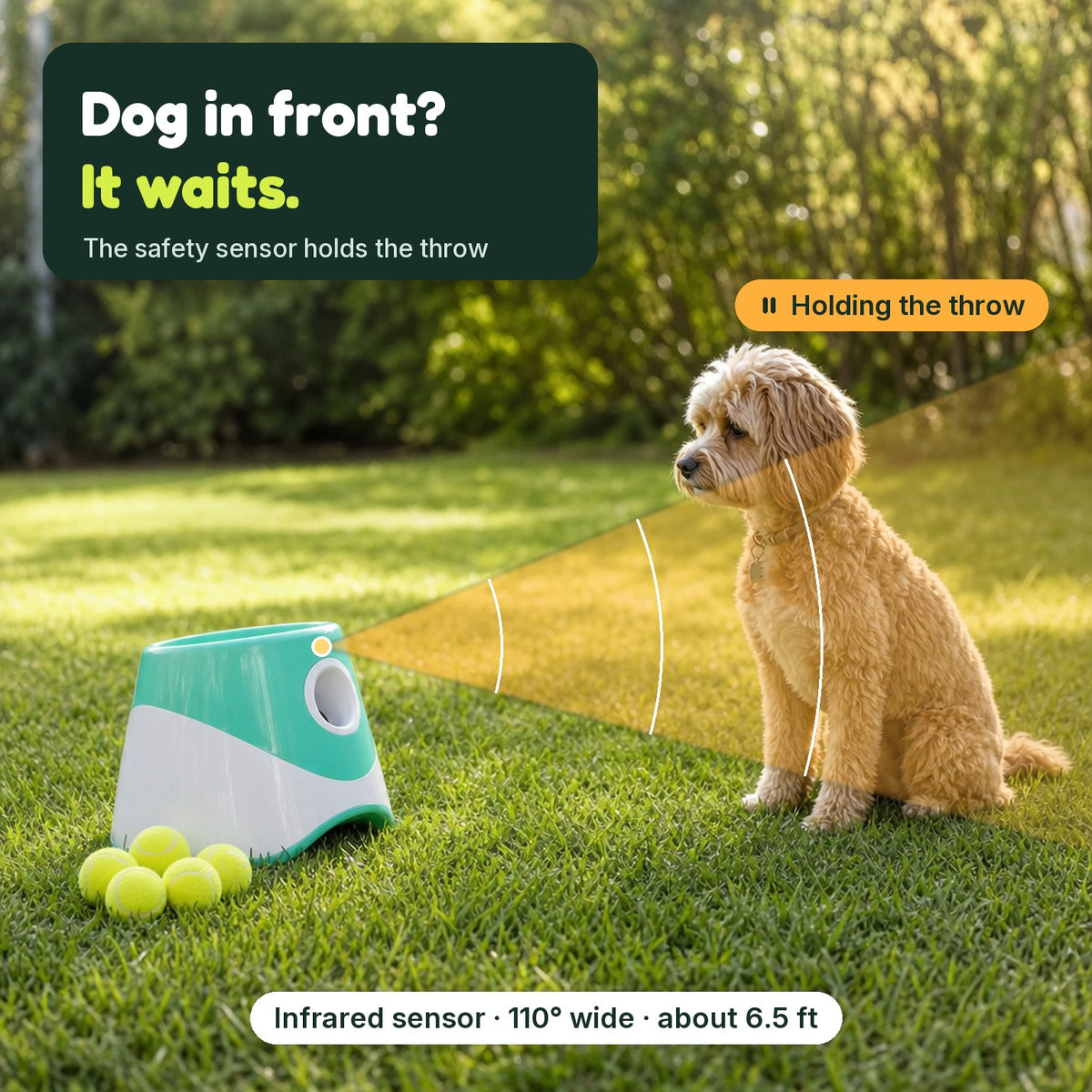 The infrared safety sensor holds the throw while a dog sits in front of the launcher